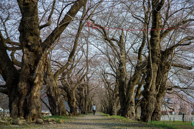 20240414-5.jpg