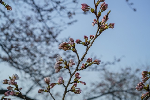 20240414-7.jpg