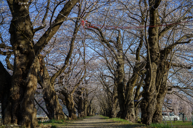 20240415-5.jpg