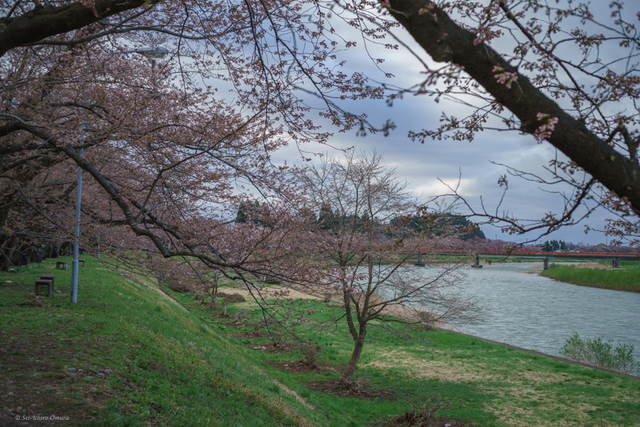 20250421-6.jpg